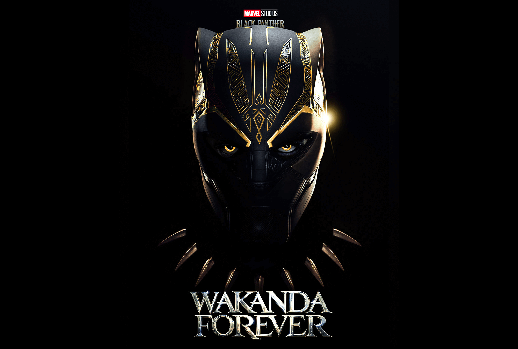 Wakanda Forever Black Panther 2 Leads in Box Office Takes
