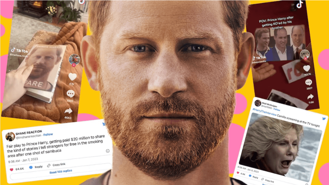 Prince Harry Sues Tabloid For Defamation Over Security Story Prince Harry Mocked on Social Media Over His Book Spare
