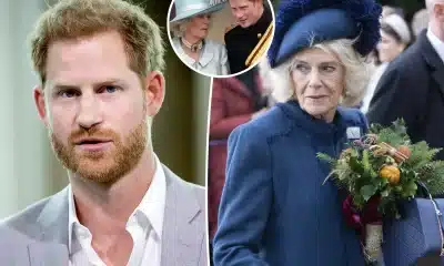 Prince Harry Accuses Camilla of 'Dangerous' Media Leaks