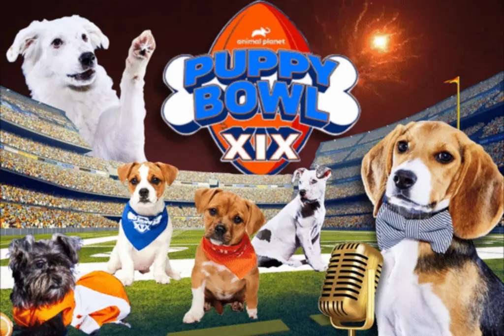 puppy bowl