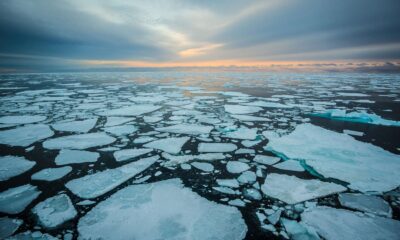 arctic sea