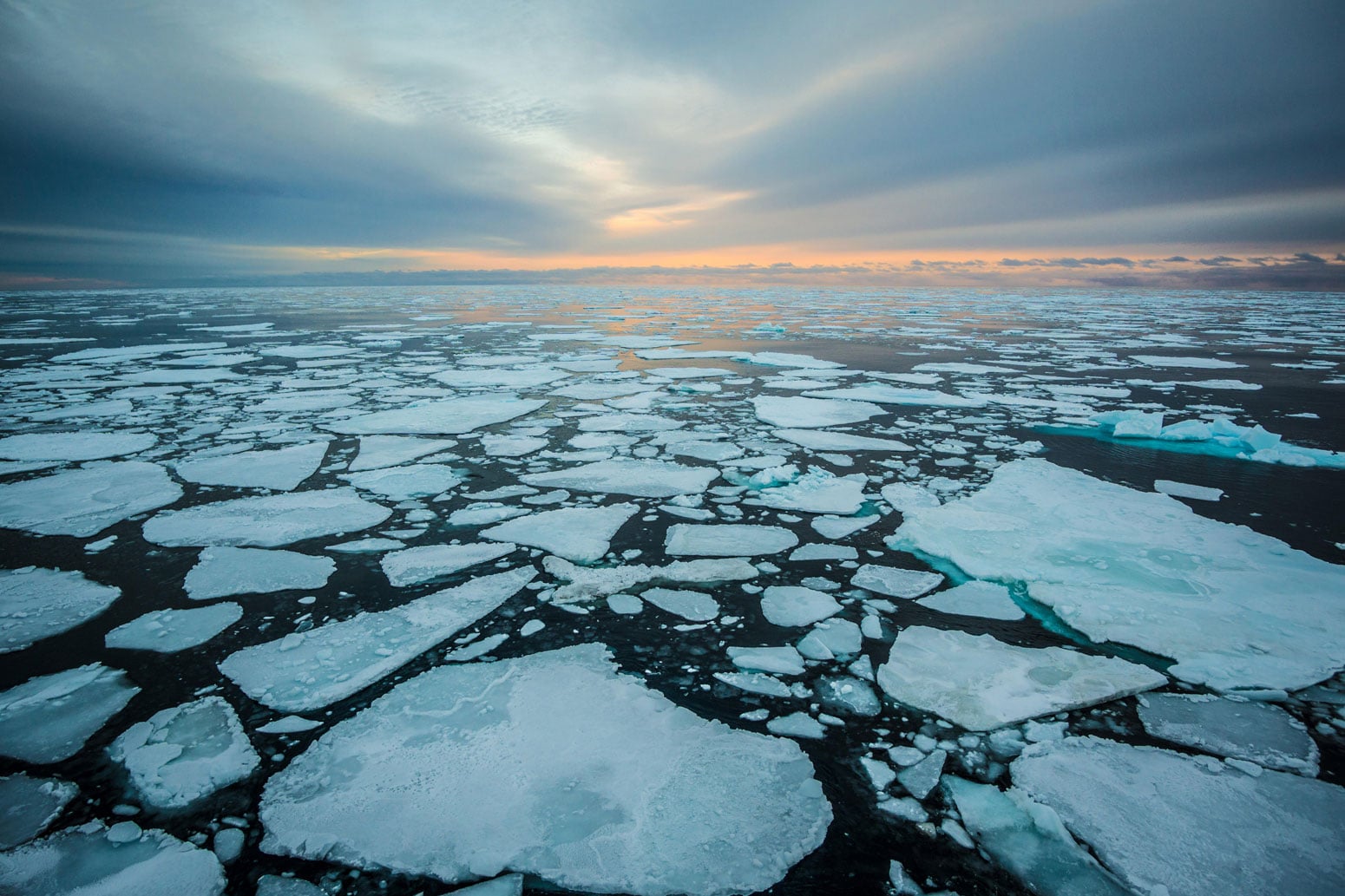 Arctic Sea Ice Thins In 2 Big Jumps, And Now More Vulnerable arctic sea