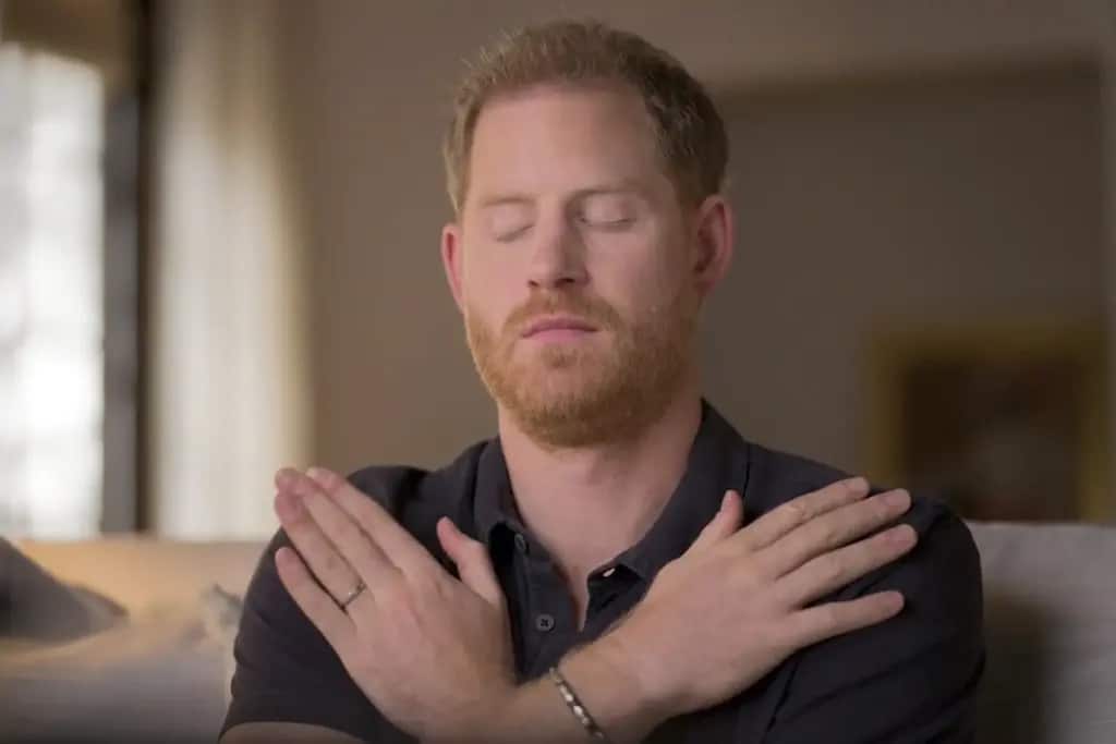 Prince Harry Slammed for Live Streaming Therapy Session for $25.00