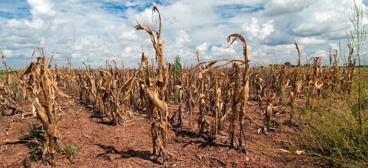 UN Head Says Survival Depends On How People Manage Water In 2023 water