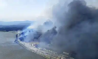1 dead, Hundreds Flee Wildfire In South Korea Seaside City