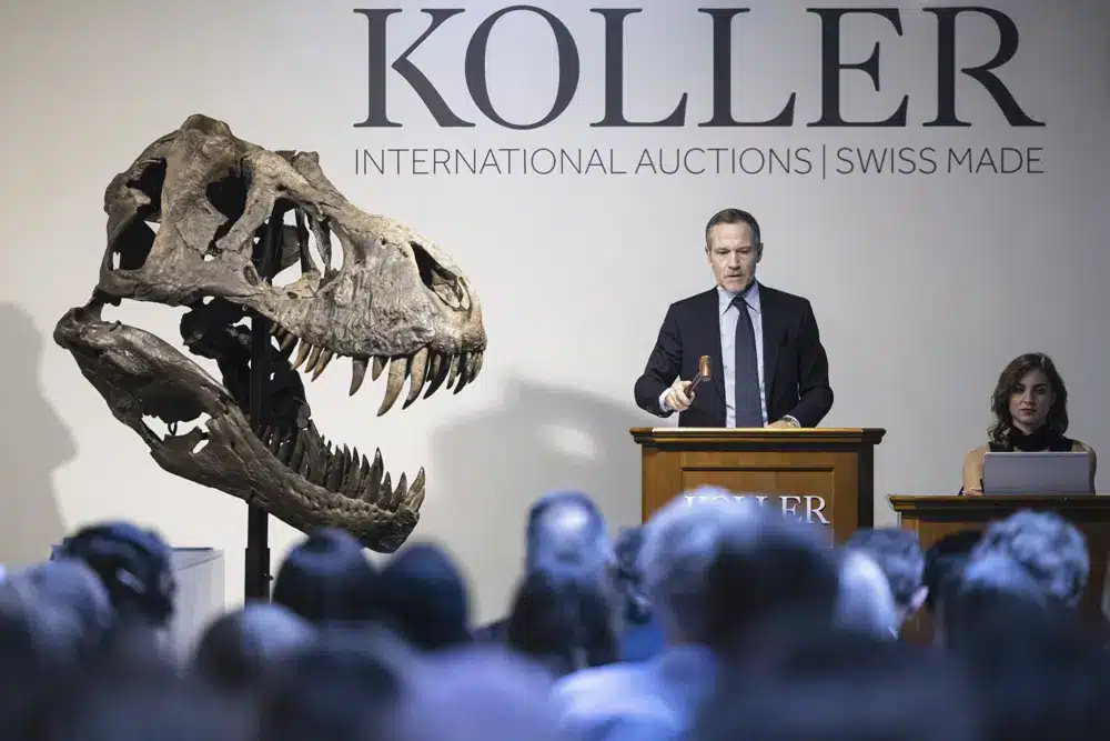 T Rex Skeleton Sells For More Than $5M At Zurich Auction Rex