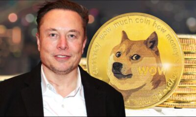 Elon Musk Changes Twitter Logo to Shiba Inu Causing Dogecoin to Jump 30 Percent