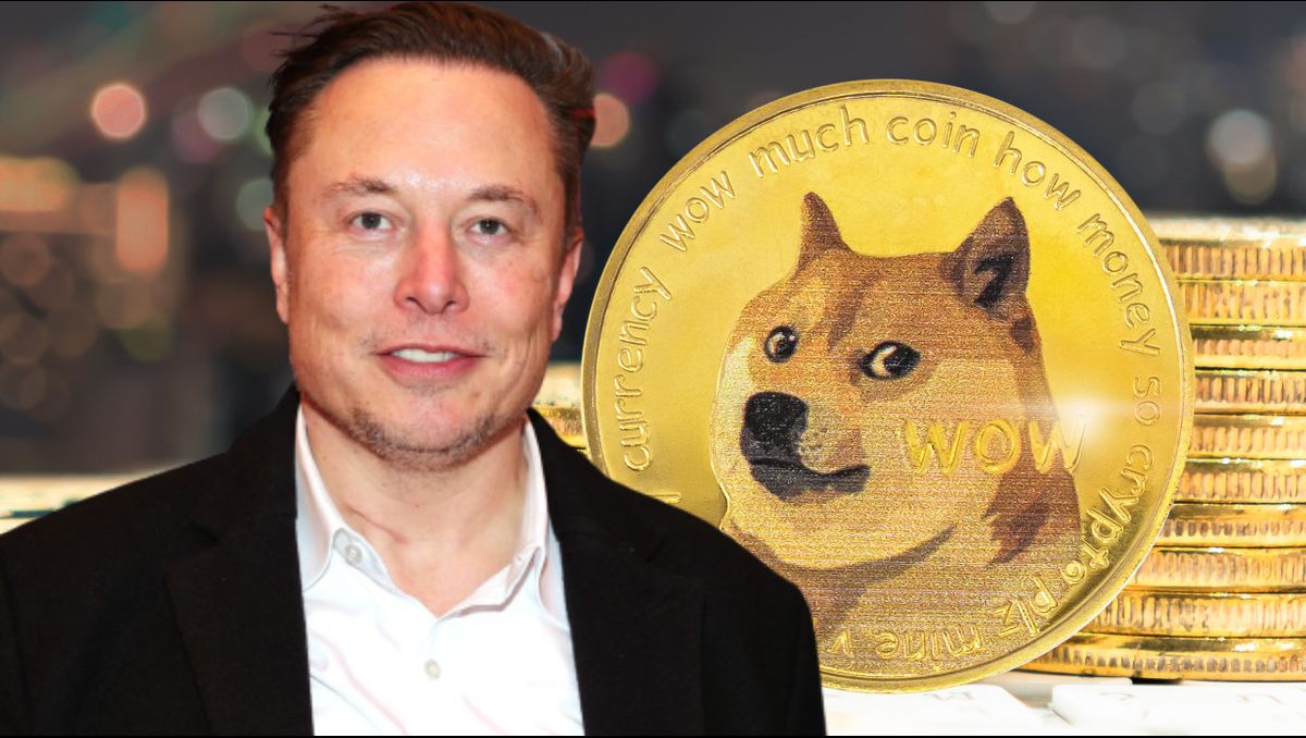 Elon Musk Changes Twitter Logo to Shiba Inu Causing Dogecoin to Jump 30 Percent