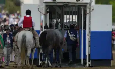 Horse Deaths Cast Shadow As Triple Crown Shifts To Preakness