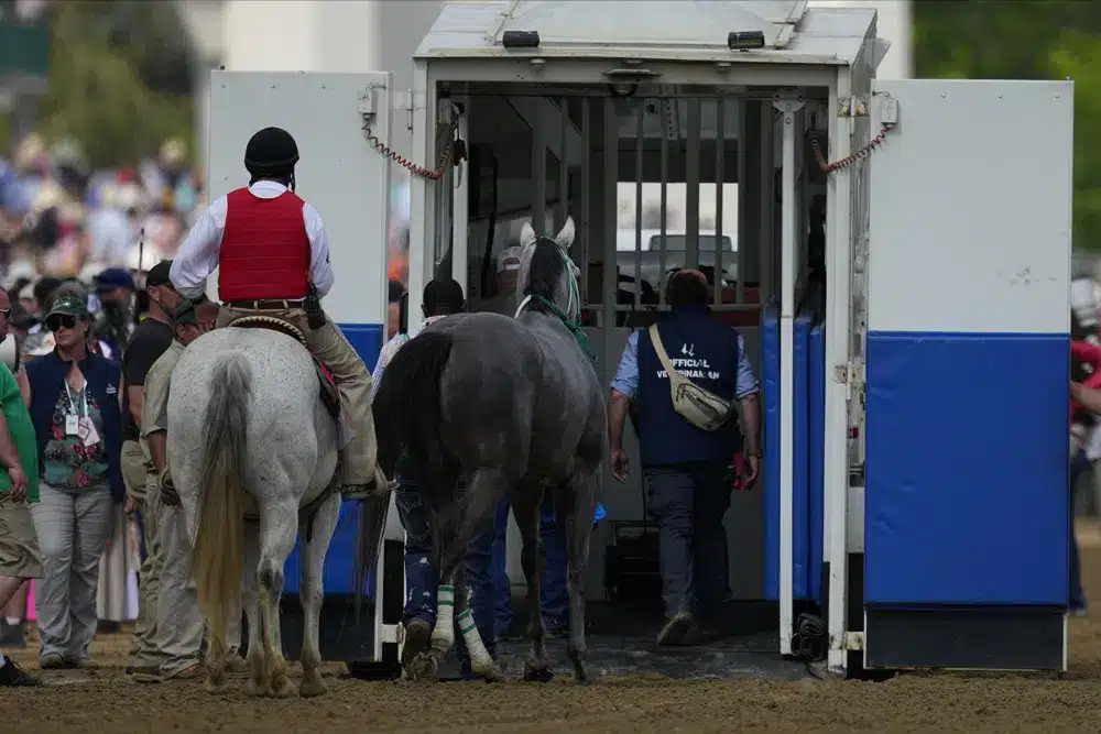 Horse Deaths Cast Shadow As Triple Crown Shifts To Preakness horse