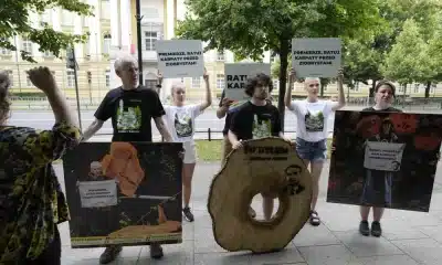 greenpeace