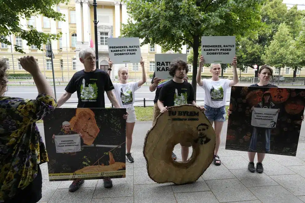 greenpeace