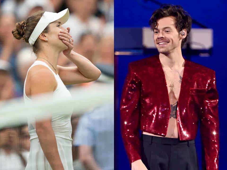 Harry Styles Reacts to Tennis Star Elina Monfils Giving Up Concert Tickets Amid Wimbledon Run