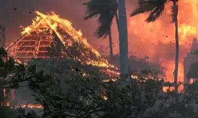 hawaii fires