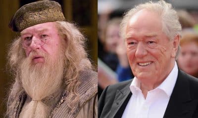 gambon