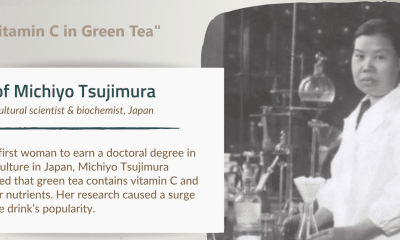 michiyo tsujimura, green tea
