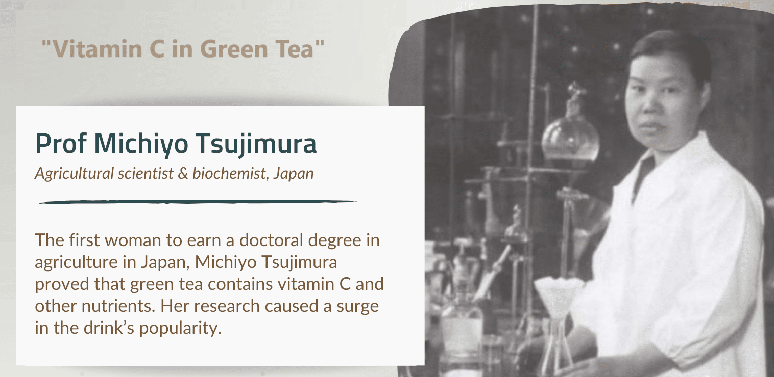 michiyo tsujimura, green tea