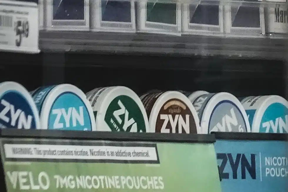 zyn