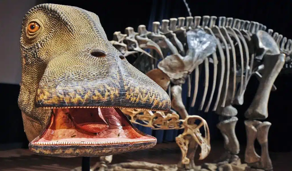 Unraveling the Mystery of the Dinosaur with 500 Teeth
