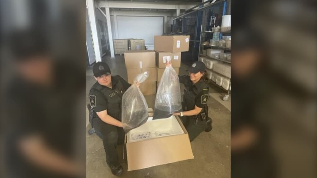 Canada Fisheries Officers Seize Elvers