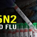 H5N2 Bird Flu