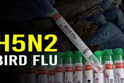H5N2 Bird Flu