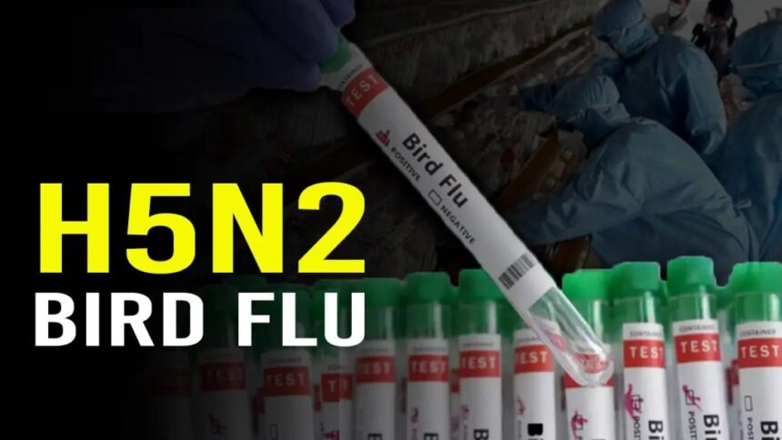 H5N2 Bird Flu