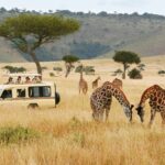 Kenya is the Ultimate Safari Destination in Africa