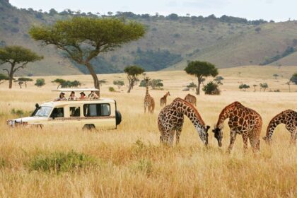Kenya is the Ultimate Safari Destination in Africa