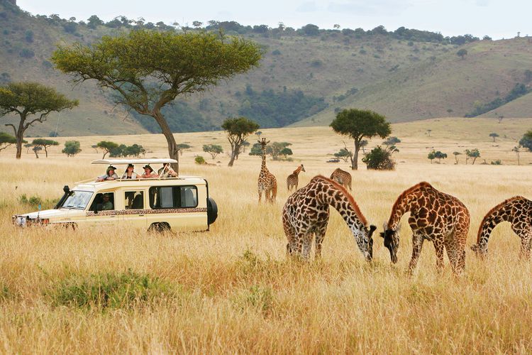 Kenya is the Ultimate Safari Destination in Africa