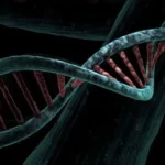 Breast Cancers Are Predicted By Gene Variants