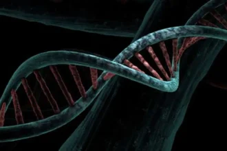 Breast Cancers Are Predicted By Gene Variants