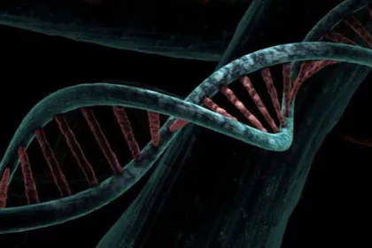 Breast Cancers Are Predicted By Gene Variants