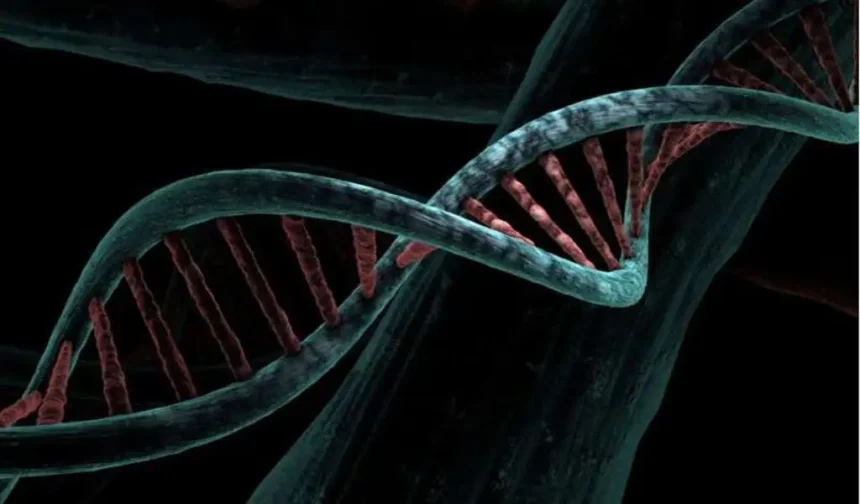 Breast Cancers Are Predicted By Gene Variants