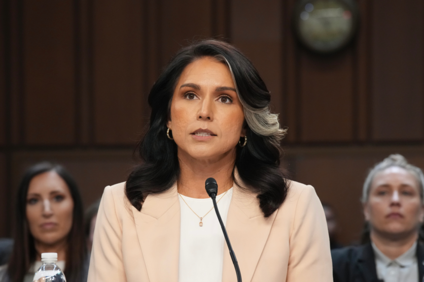 Tulsi Gabbard DC Sparks Firestorm