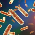 Legionnaires
