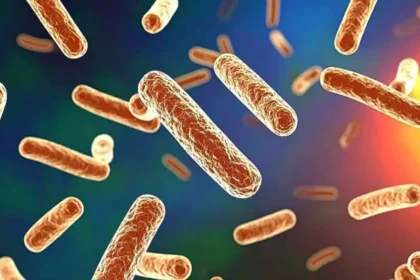 Legionnaires