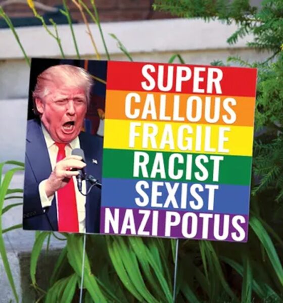 Democrats Fascist and Nazi Rhetoric