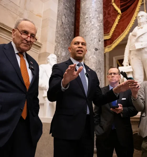 The Democratic Party