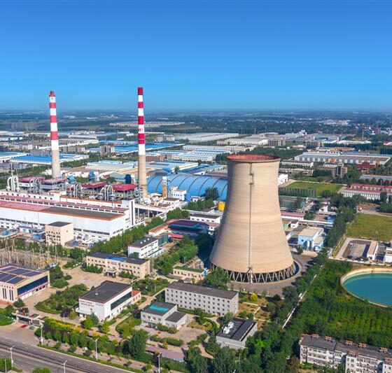 BPP Accelerates Growth