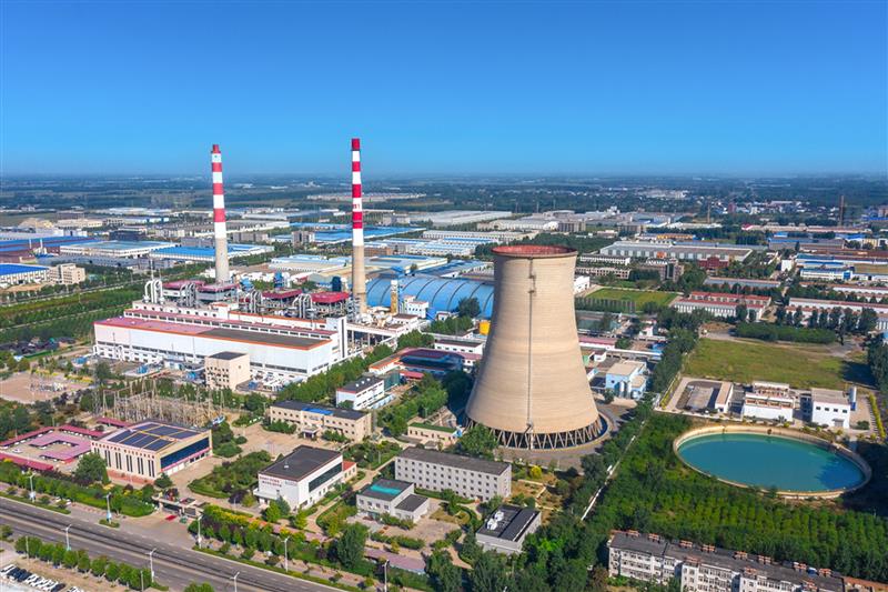 BPP Accelerates Growth