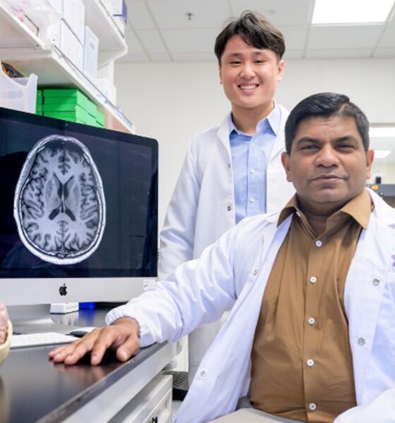 Clogged ‘drains’ in the brain Alzheimer’s