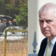 Andrew Mountbatten-Windsor Arrested