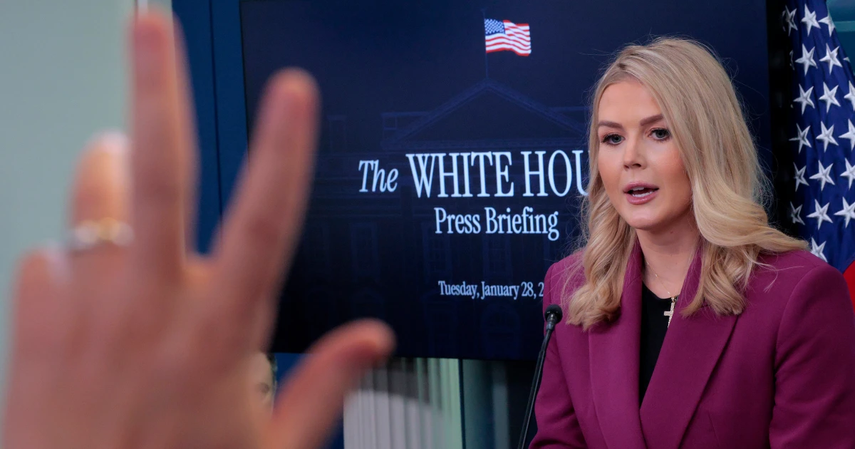 Karoline Leavitt Slams Joe Kent