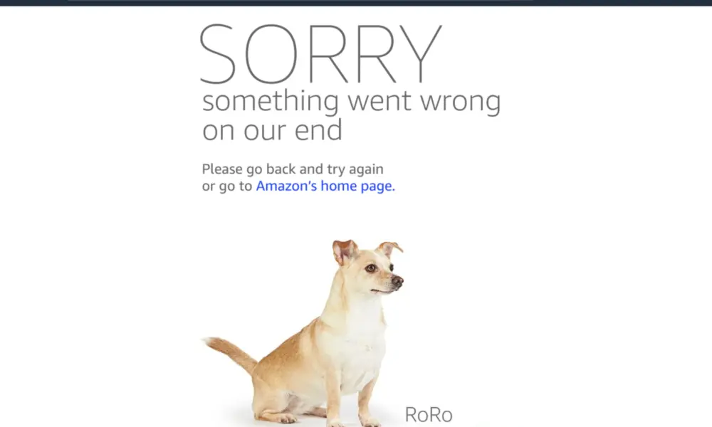 Amazon Shopping Site