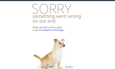 Amazon Shopping Site