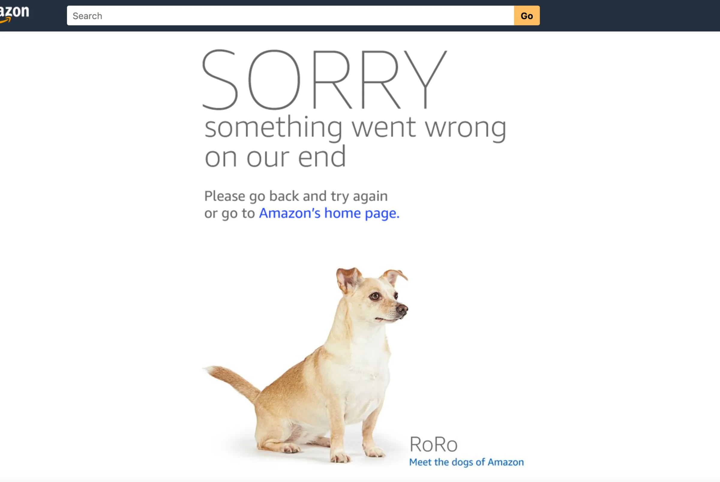 Amazon Shopping Site