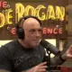 Joe Rogan