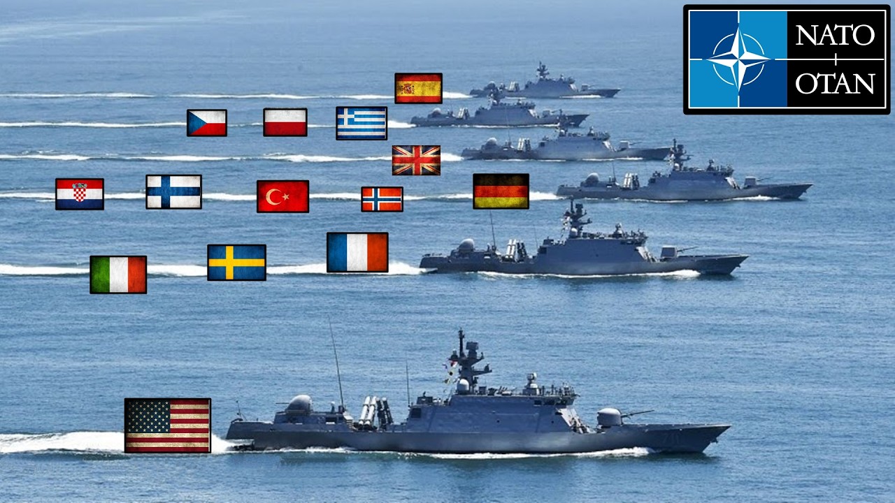 NATO Chief Says 22 Nations Working With US