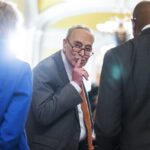 Democrats Moving to Rig the System